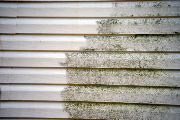 Best Aluminum Siding Installation  in Guttenberg, NJ