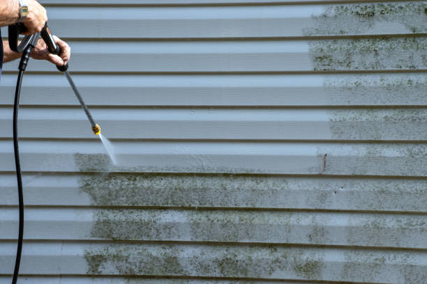 Best Wood Siding Installation  in Guttenberg, NJ