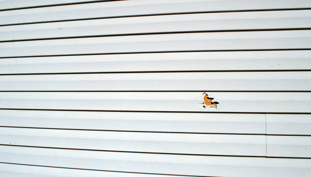 Best Steel Siding Installation  in Guttenberg, NJ